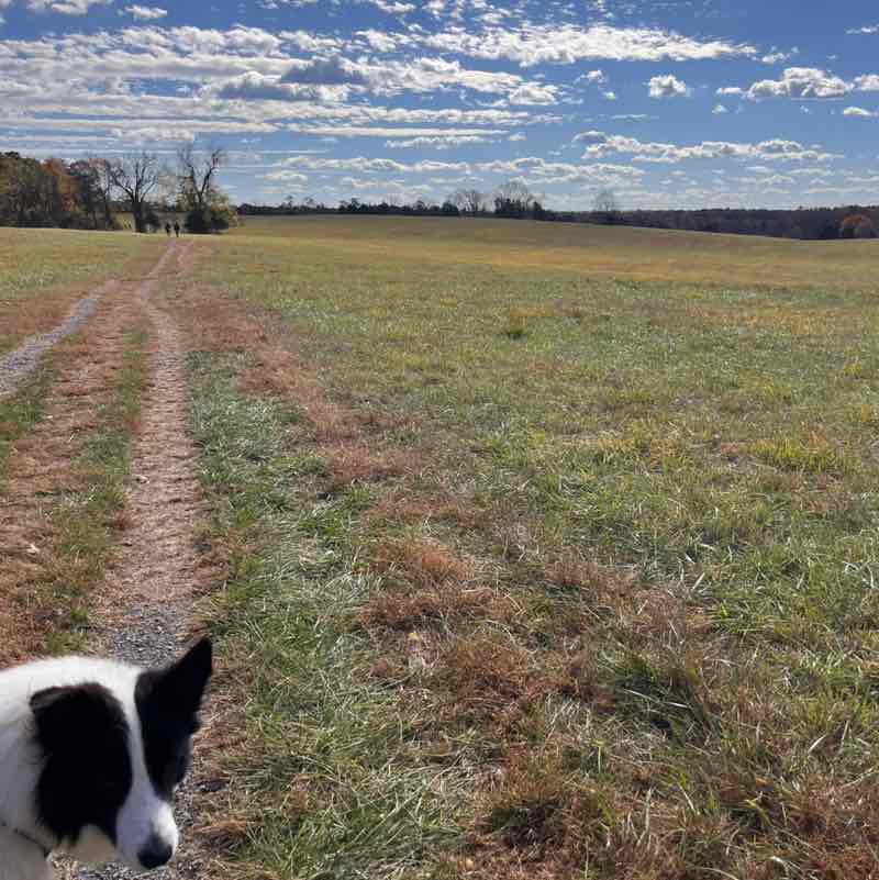 Unboxed Energy, One Step at ⏱️ Ava Nicole Perla post image