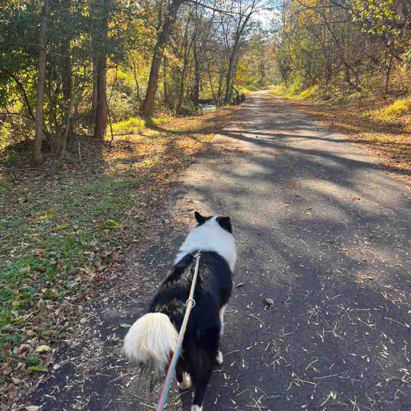 Unboxed Energy, One Step at ⏱️ Ava Nicole Perla post image