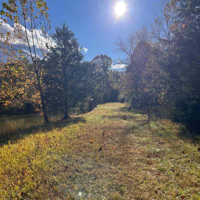 Ava Nicole Perla post 1