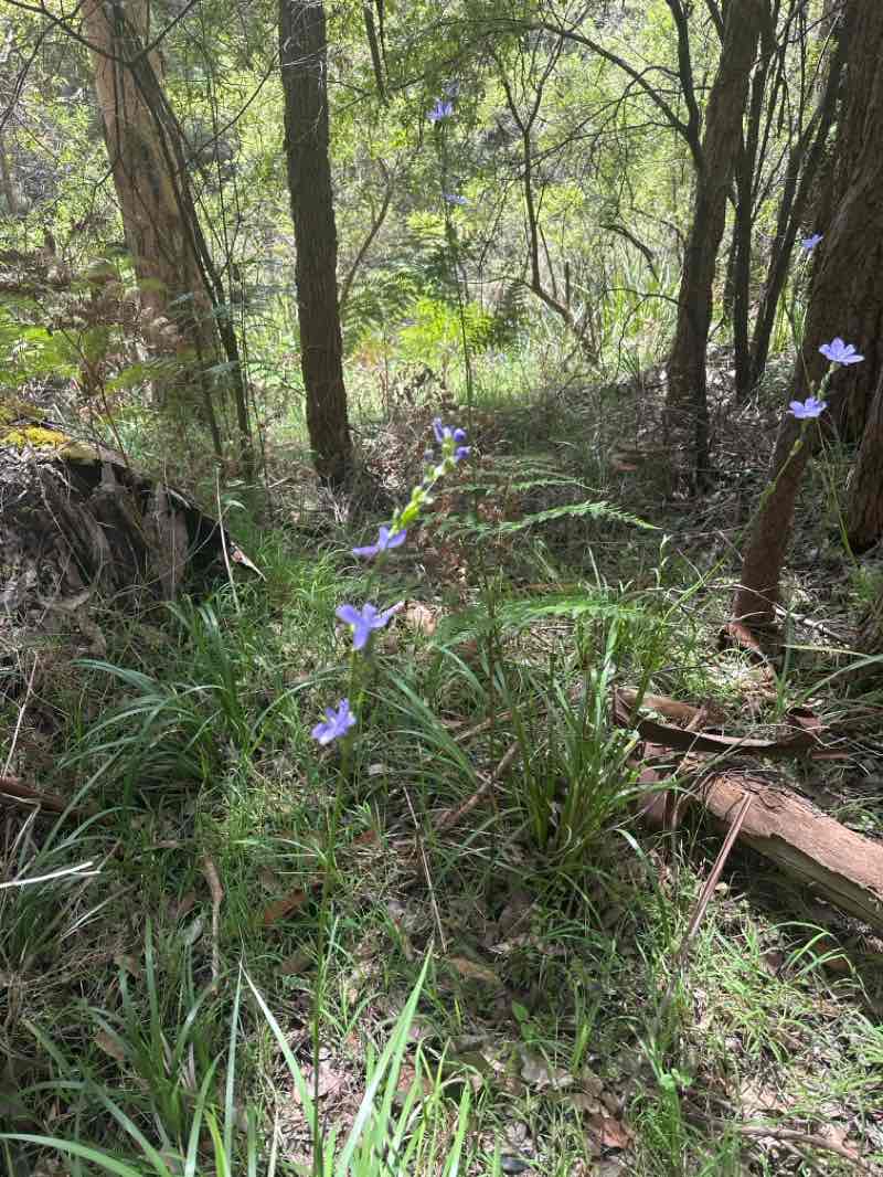 walking near me in Unnamed WA37237 5(1)(g) Reserve in spring