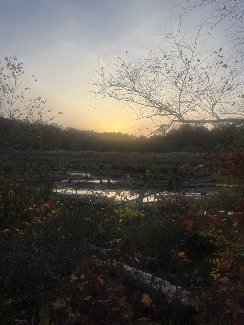 walking near me in WB&A Trail in autumn