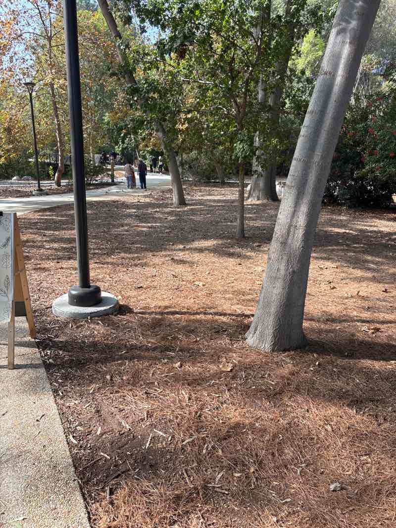 walking near me in El Dorado East Regional Park in autumn