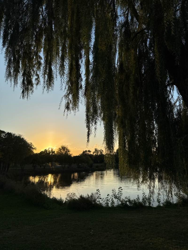 walking near me in Madison Meadow Park in autumn