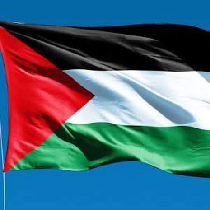 Piero Pitino profile