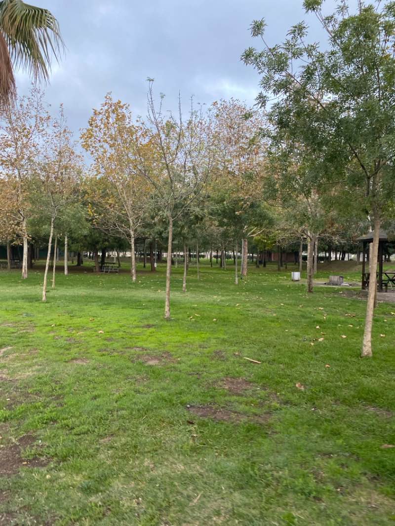 walking near me in Yarımca Sahil Parkı in autumn