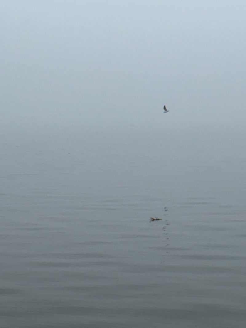 walking near me in Lake Vista Park (historical) in winter