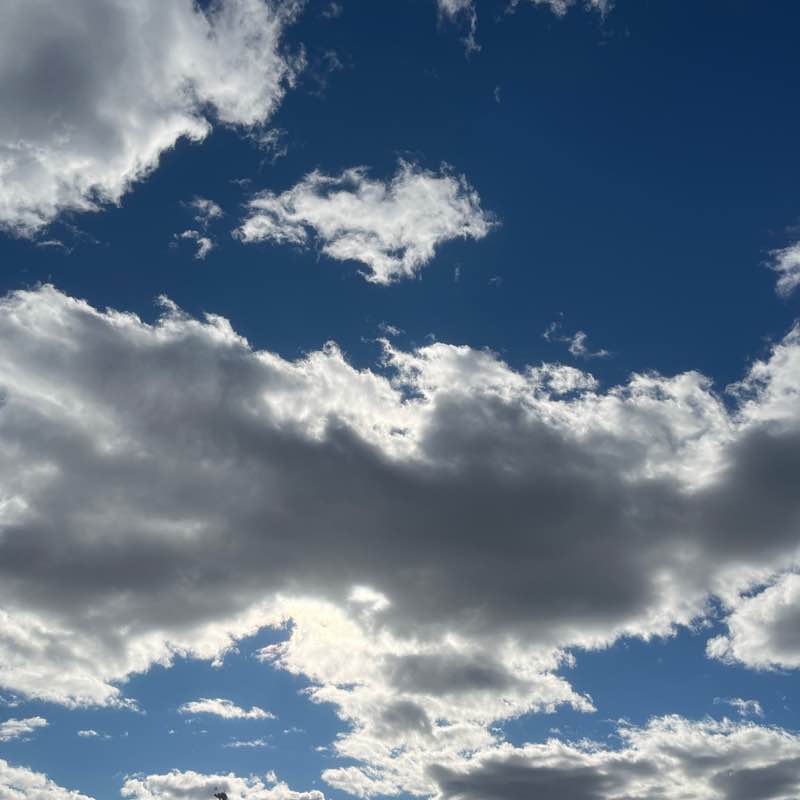 Hand Stand Dan post 1