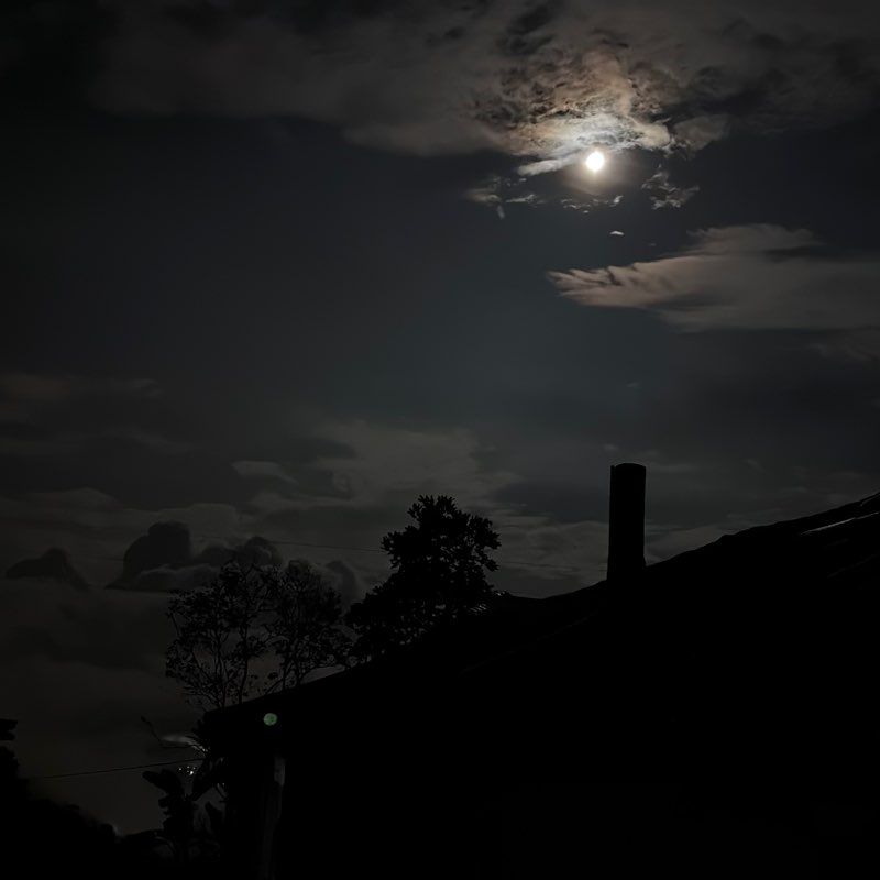 Dario Londoño CCO icon