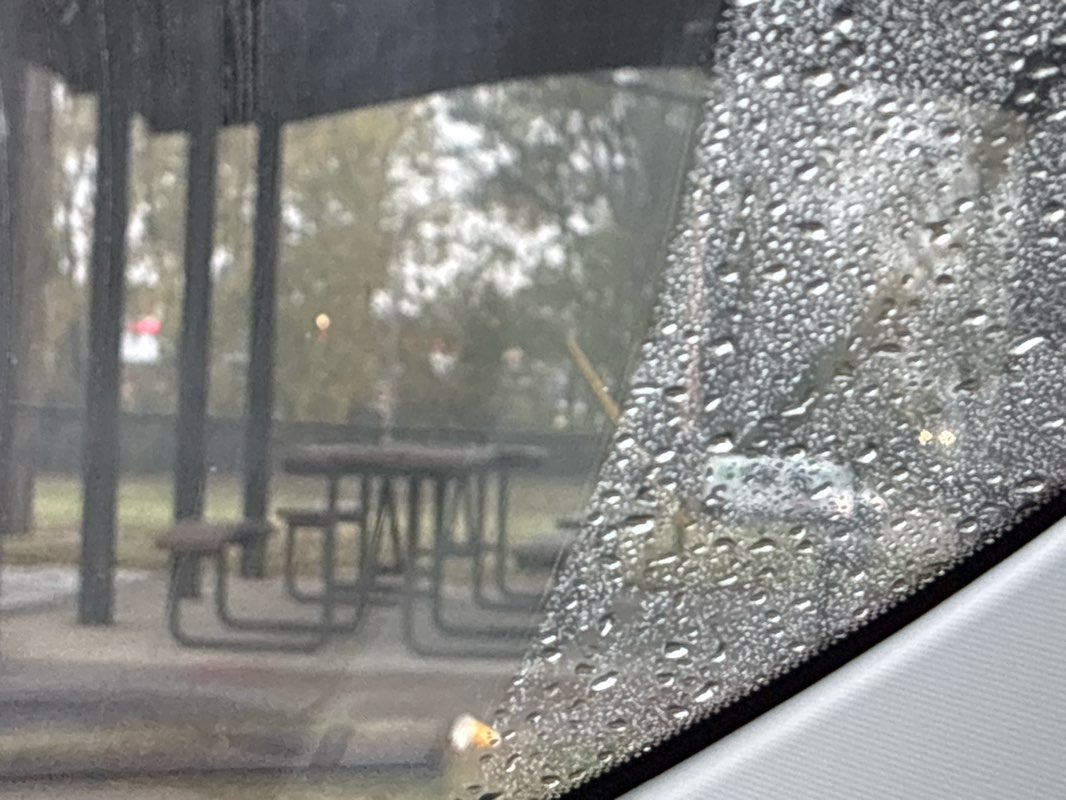 walking near me in Jasper Park in autumn