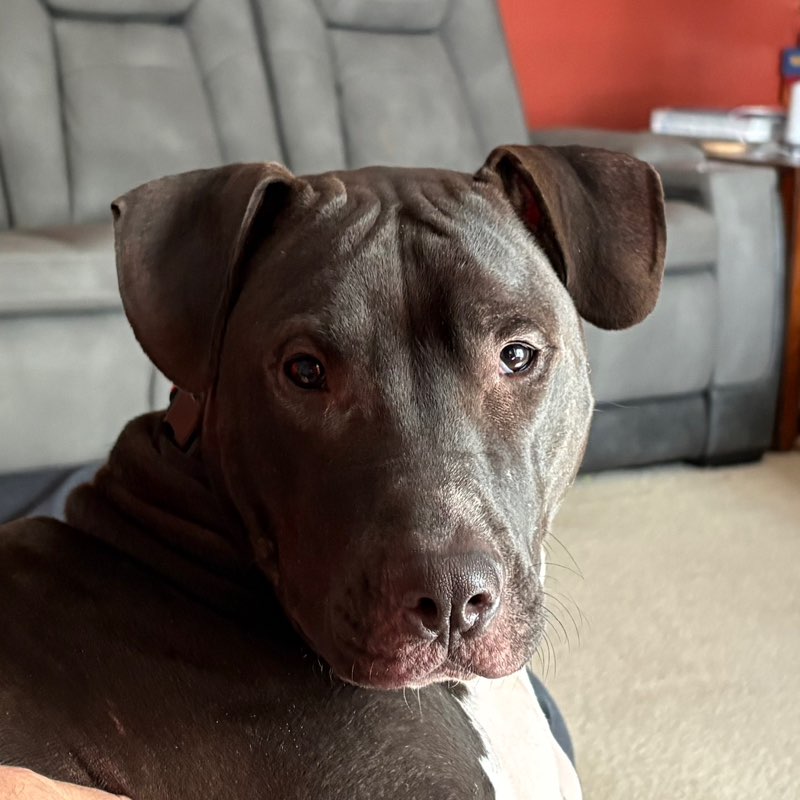 Kandie profile