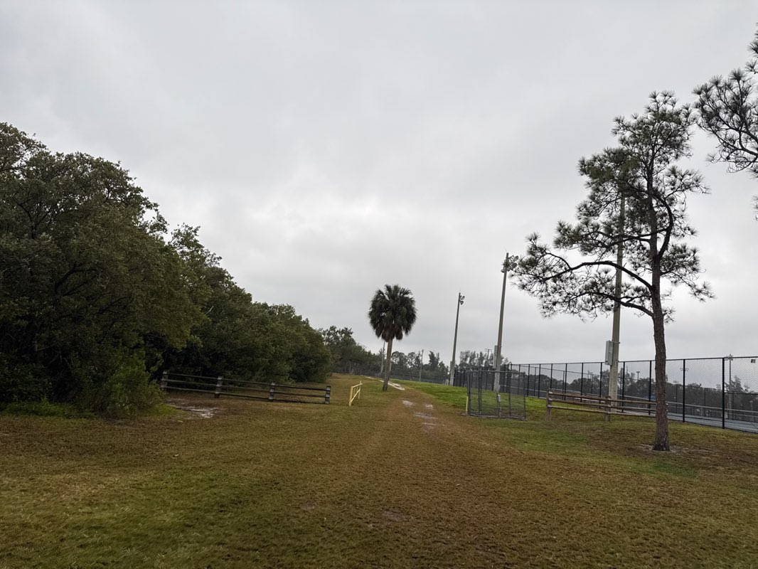 walking near me in Jack Puryear Park in winter