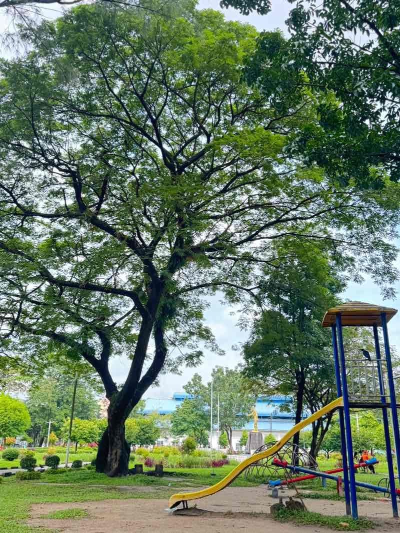 walking near me in Thu Mingalar Park in autumn