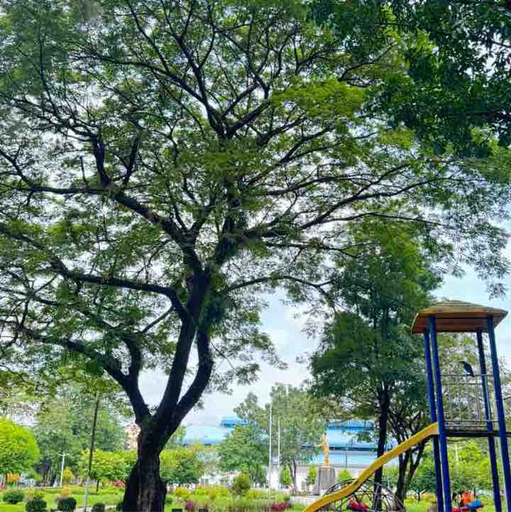 မ သွယ်လေး ဝေ post 1