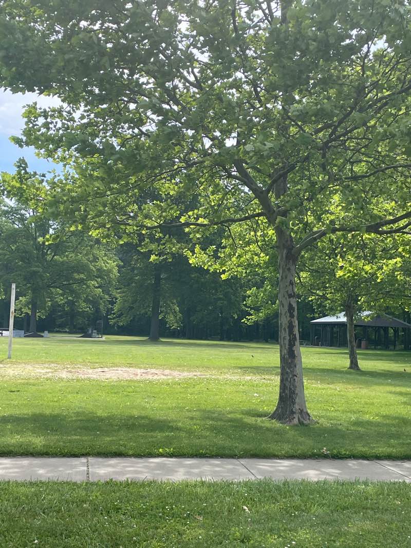 walking near me in Weiss Field in summer
