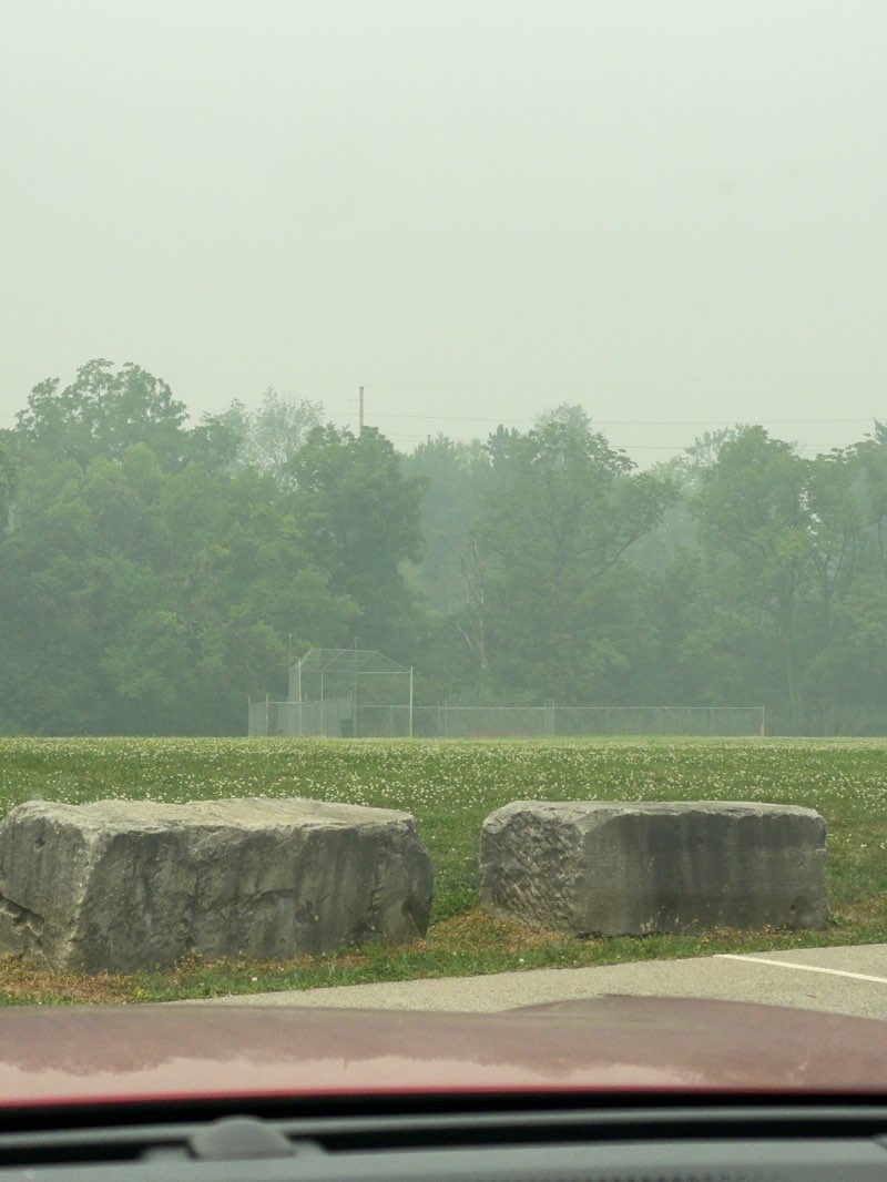 walking near me in James Day Park in summer
