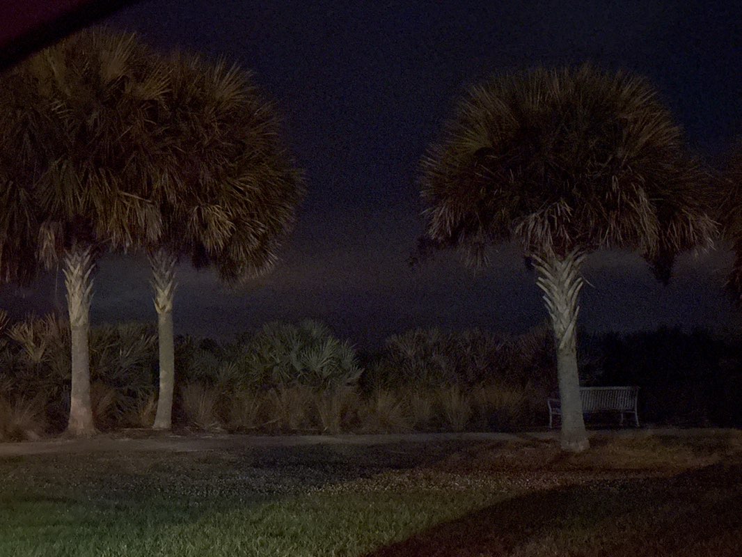 walking near me in Kirk Point Park in winter