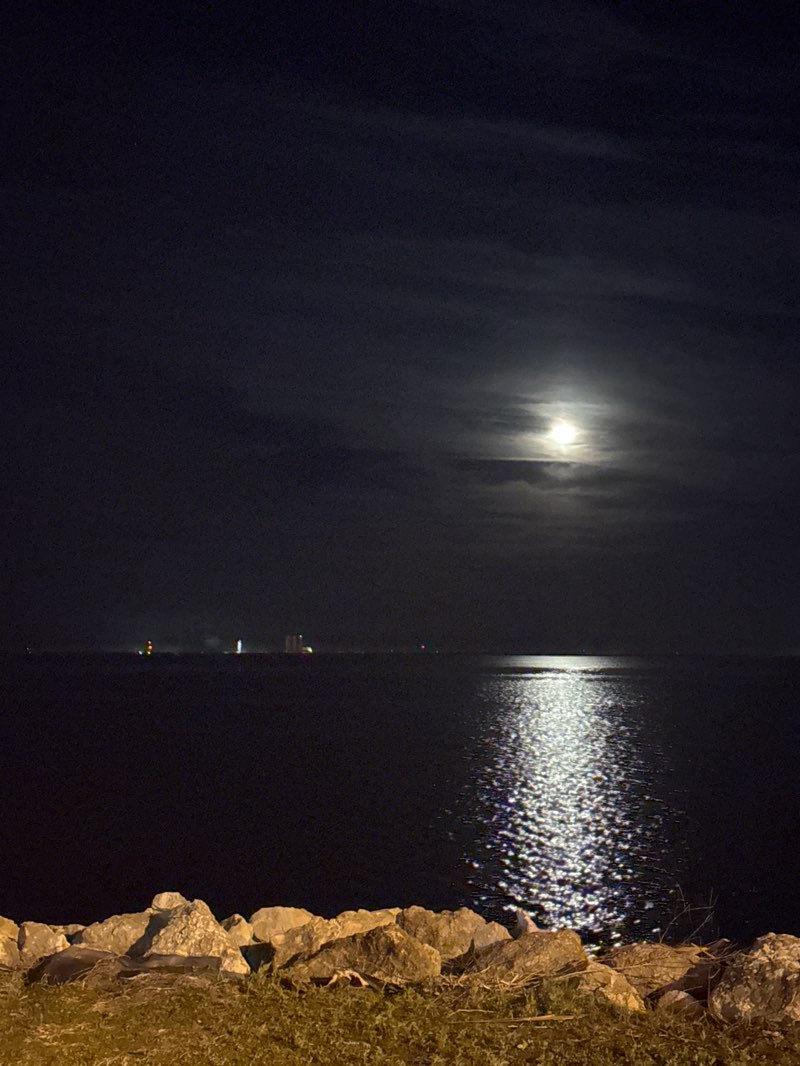 walking near me in Rotary Riverfront Park in winter