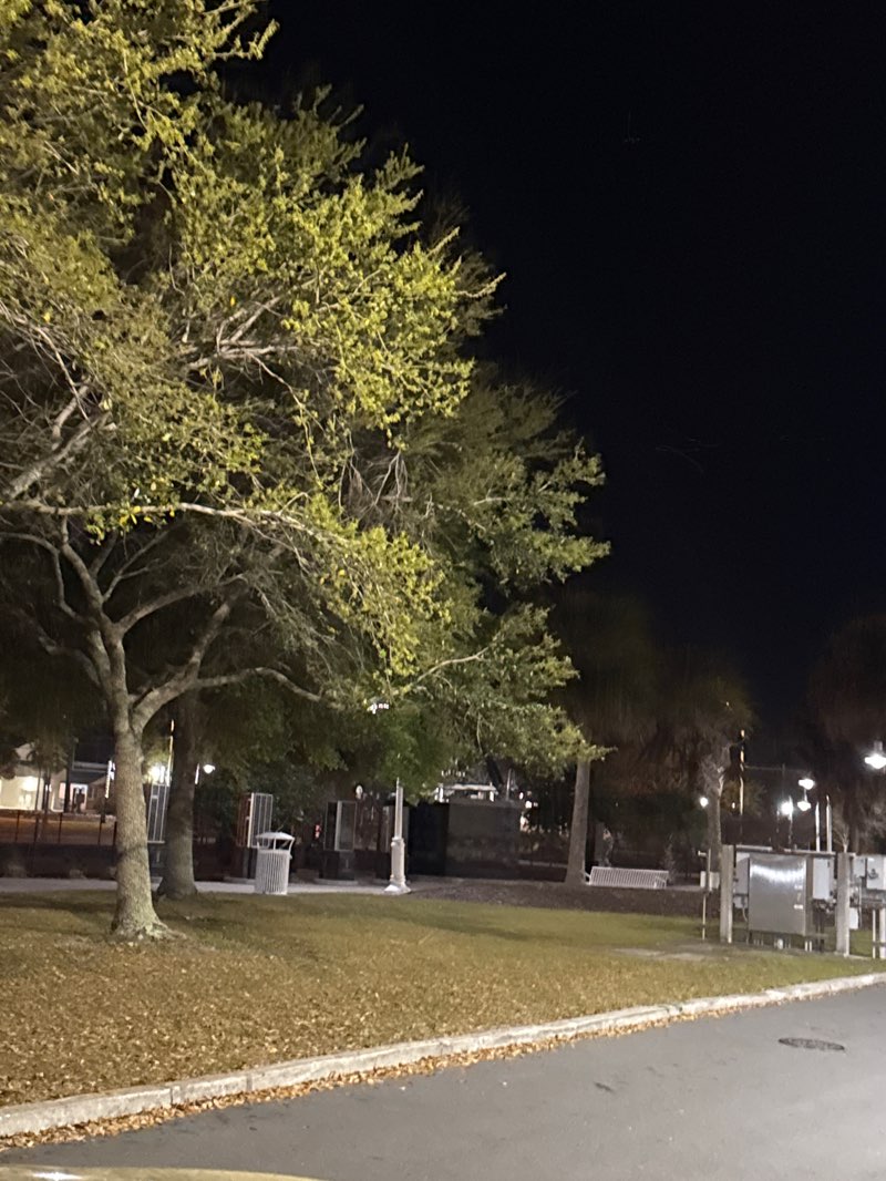 walking near me in Space View Park in spring