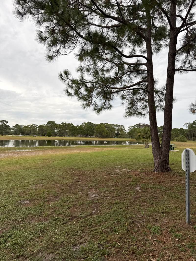 walking near me in Wickham Park in autumn