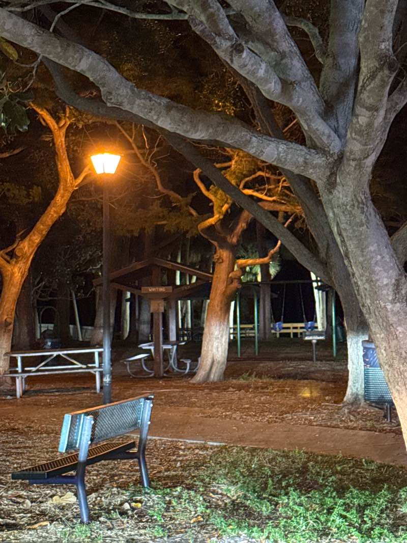 walking near me in William Manzo Park in autumn