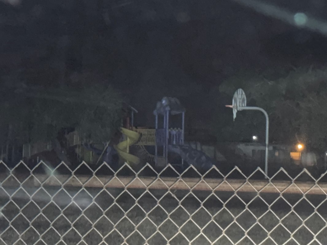 walking near me in Stuart Park in winter