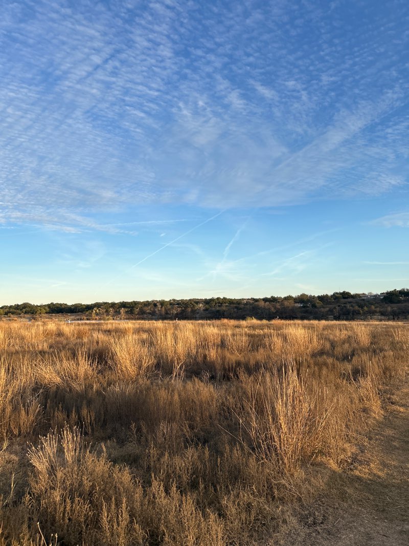 walking near me in Brushy Creek Lake Park in winter