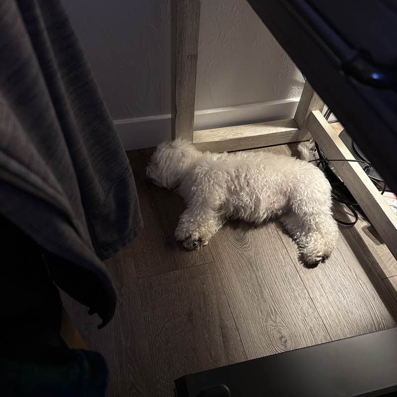 Cardiac Chicks Michele post image