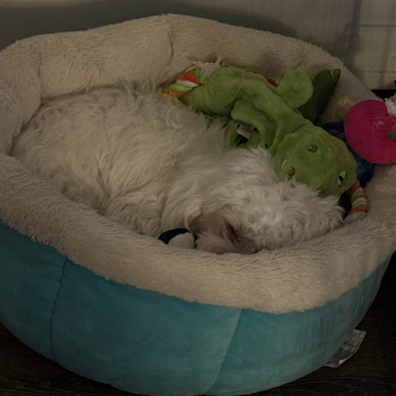 Cardiac Chicks Michele post image