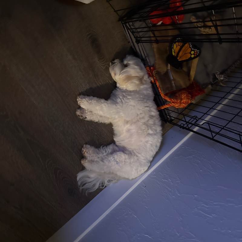 Cardiac Chicks Michele post image