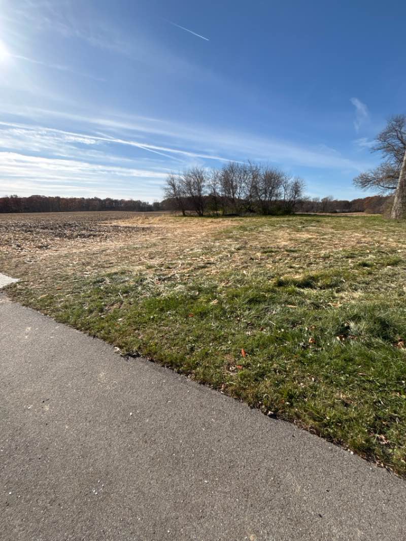 walking near me in Wall Park in autumn