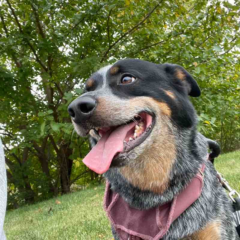 Oak Trace Nancy post image