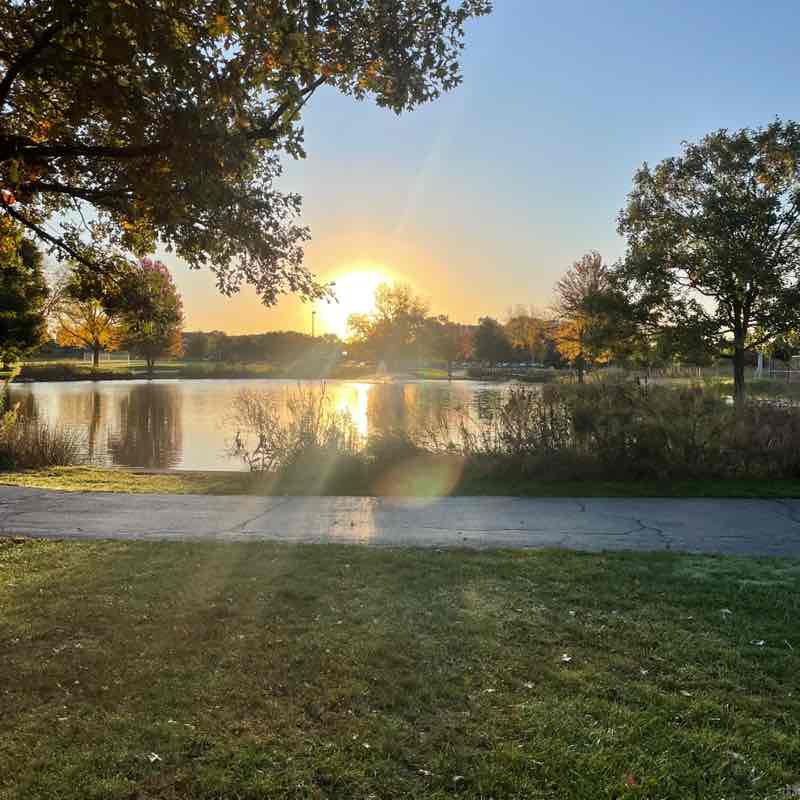 Oak Trace Nancy post image