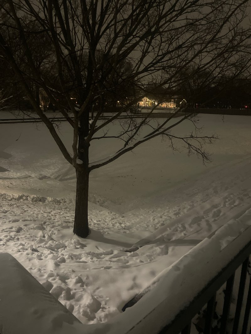 walking near me in Washington Park in winter