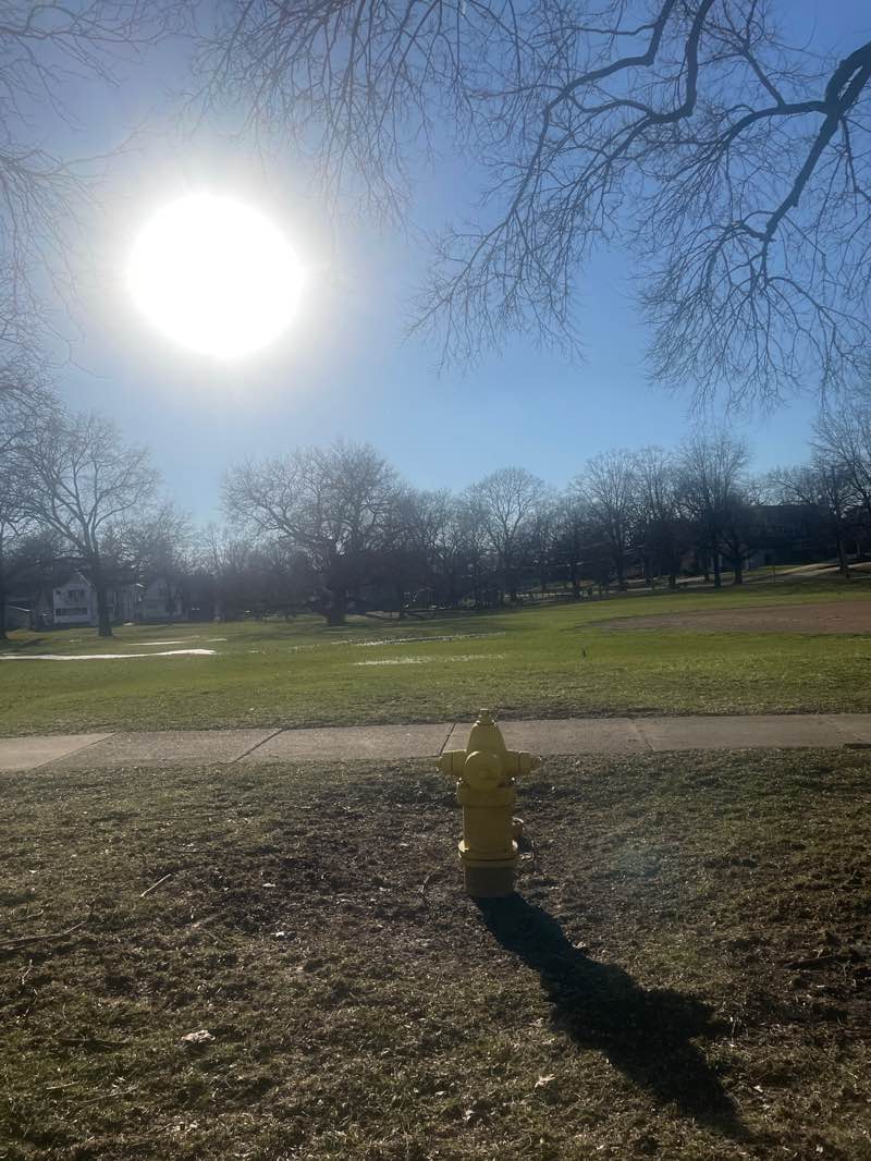 walking near me in Randall Park in spring