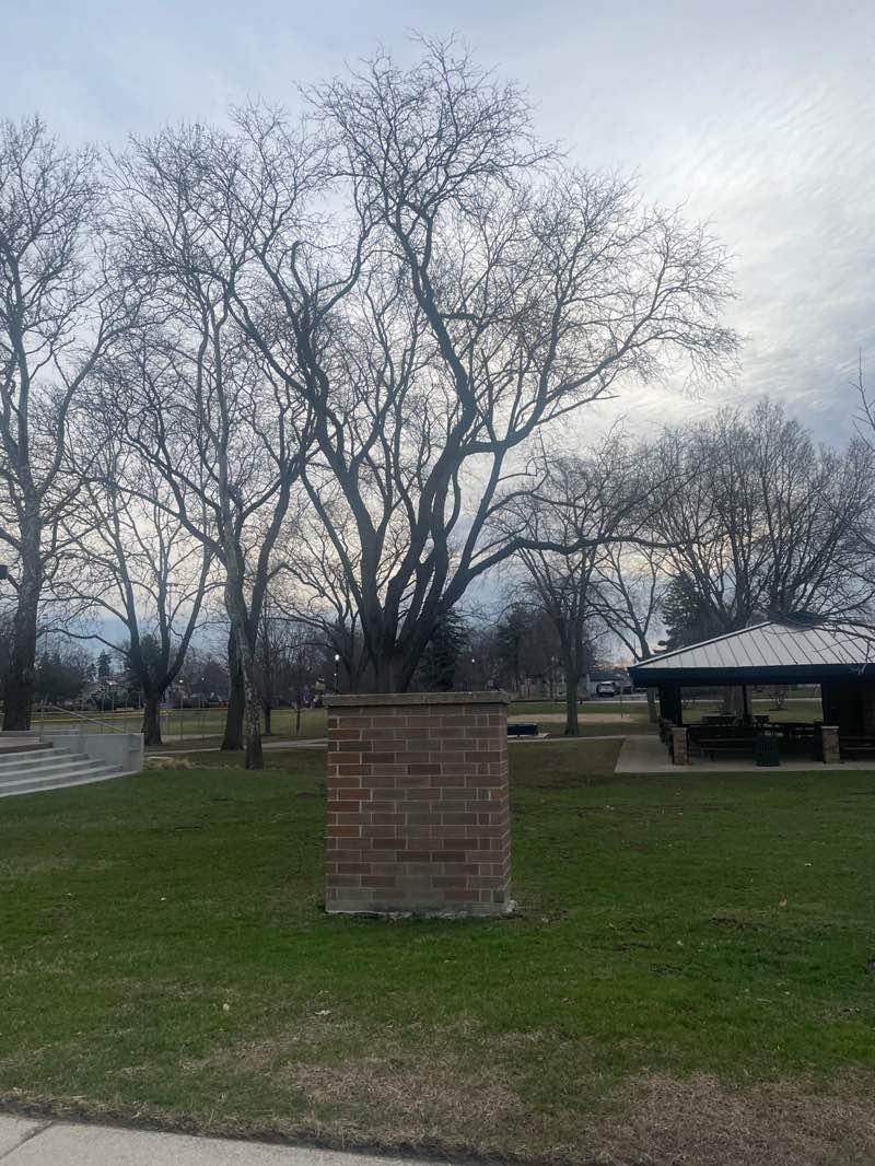 walking near me in Veterans Memorial Park in spring