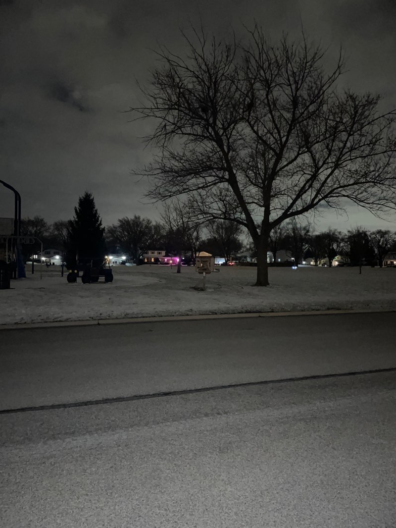 walking near me in Hinsbrook Park in spring