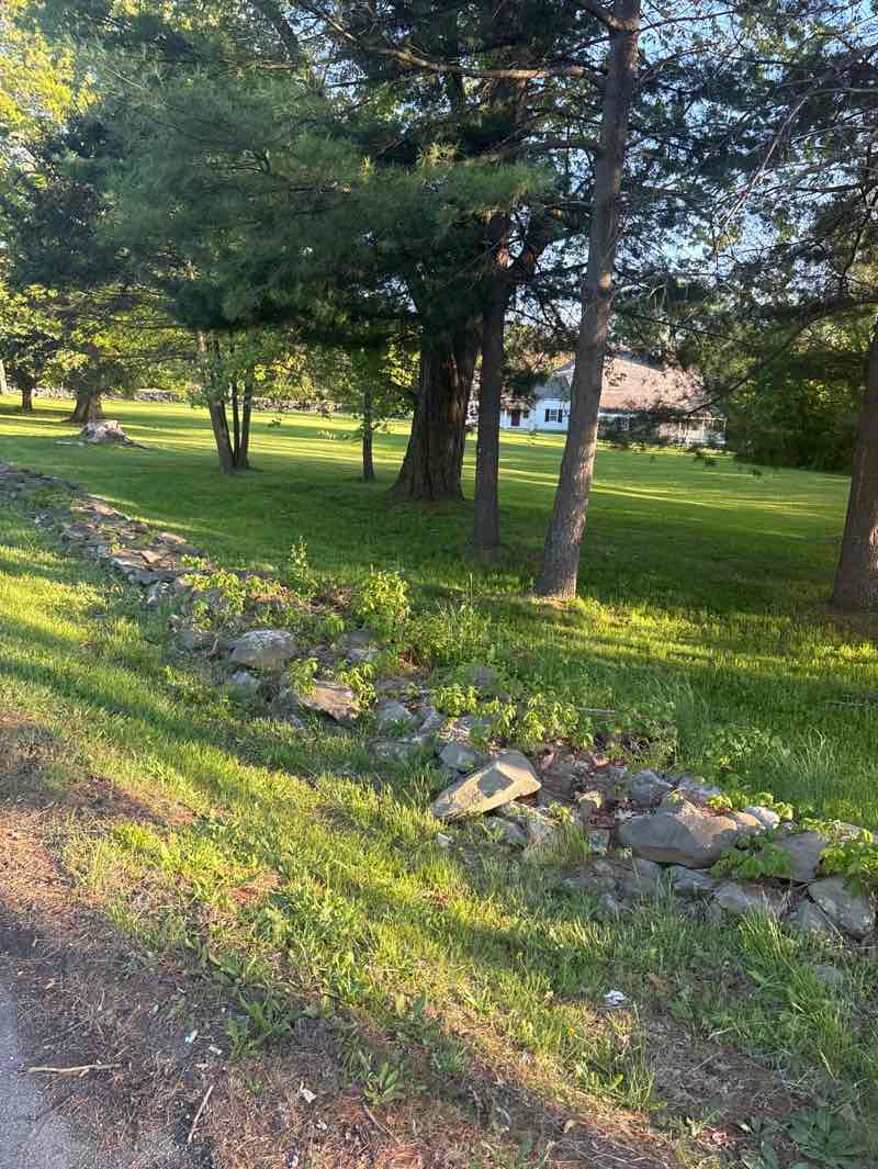 walking near me in Knox's Headquarters State Historic Site in spring