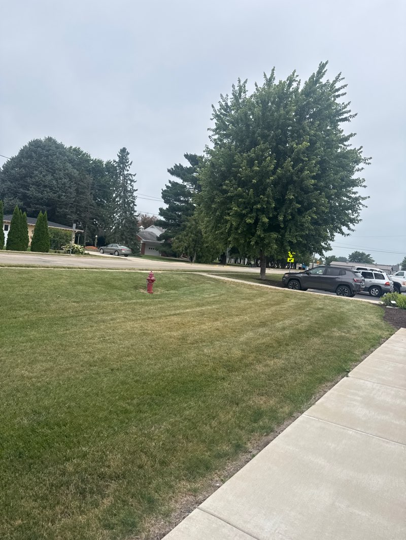walking near me in Helms Park and Athletic Complex in summer