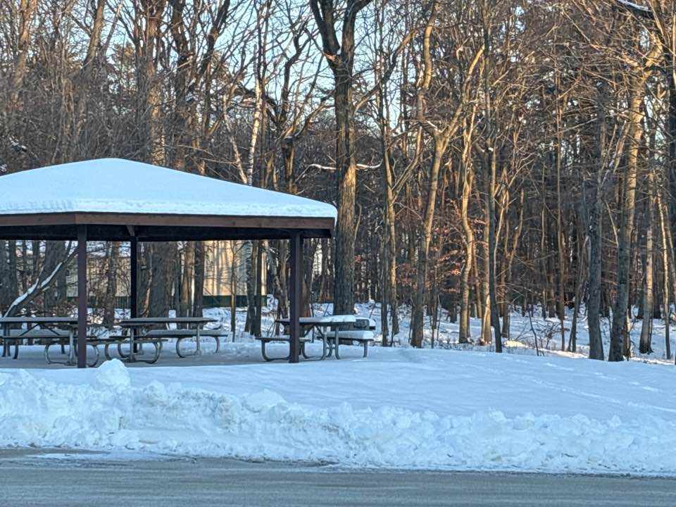walking near me in Lincoln Park in winter