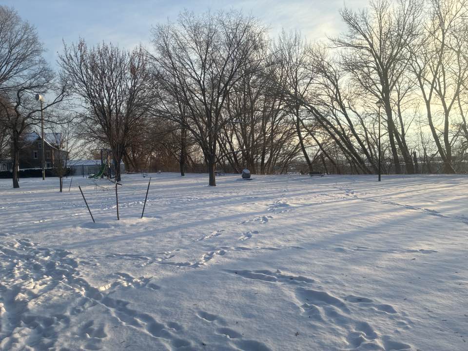 walking near me in Riverview Park in winter