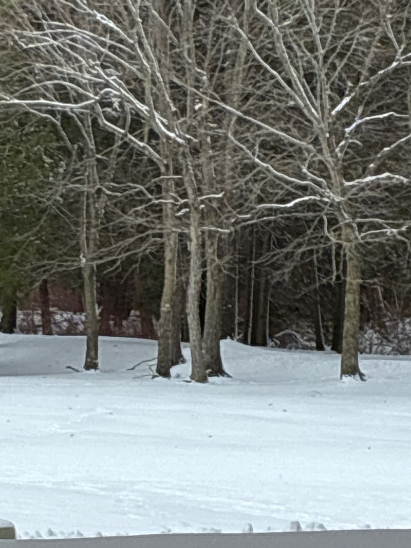 walking near me in Point Beach State Forest in winter