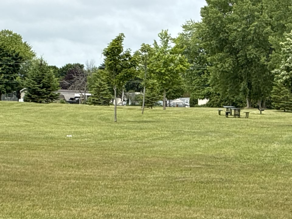 walking near me in Emma Radandt Park in summer