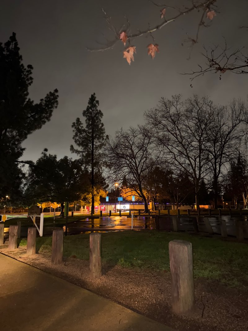 walking near me in Gibbons Park in winter