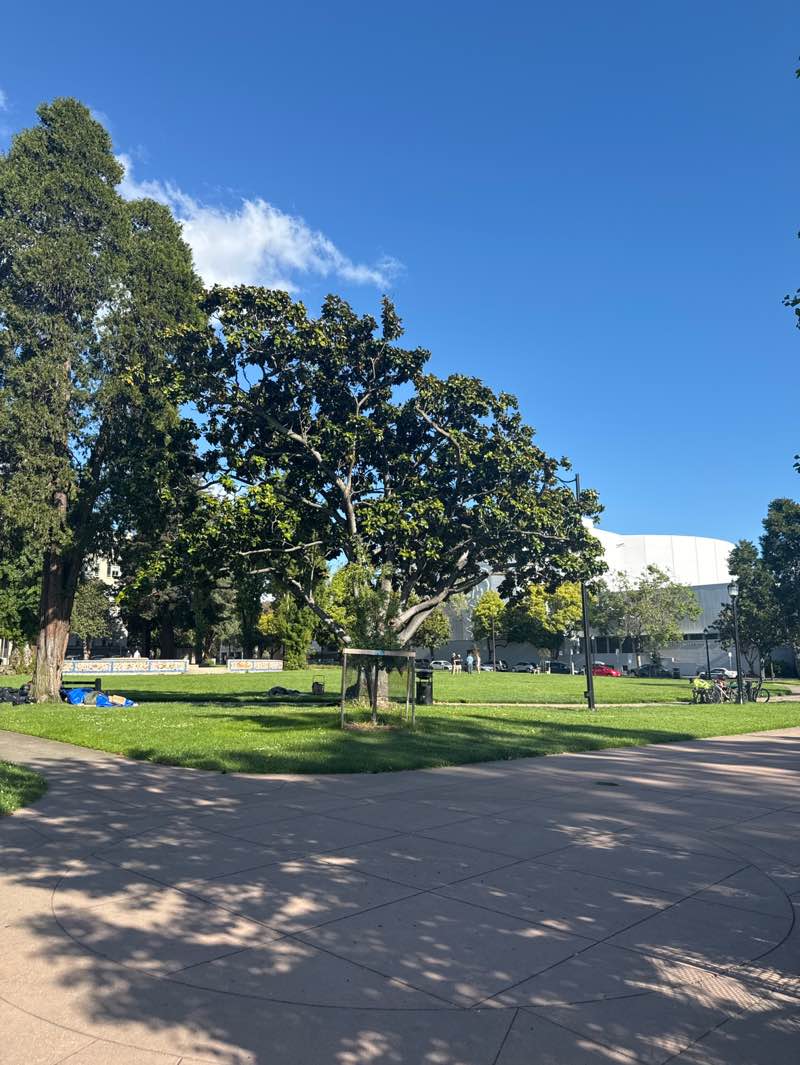 walking near me in Martin Luther King Jr. Civic Center Park in spring
