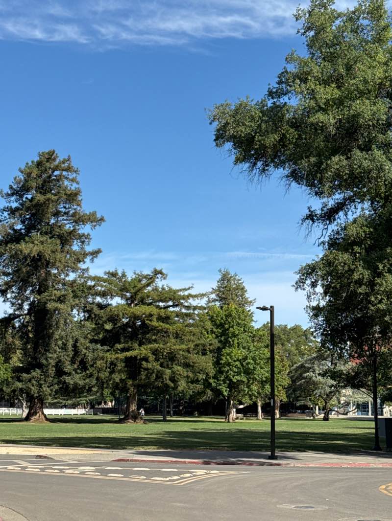 walking near me in East Quad in summer