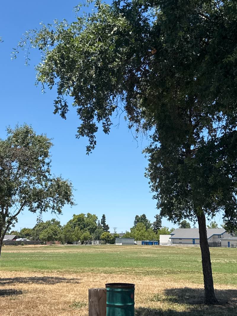 walking near me in Oakdale Park in summer
