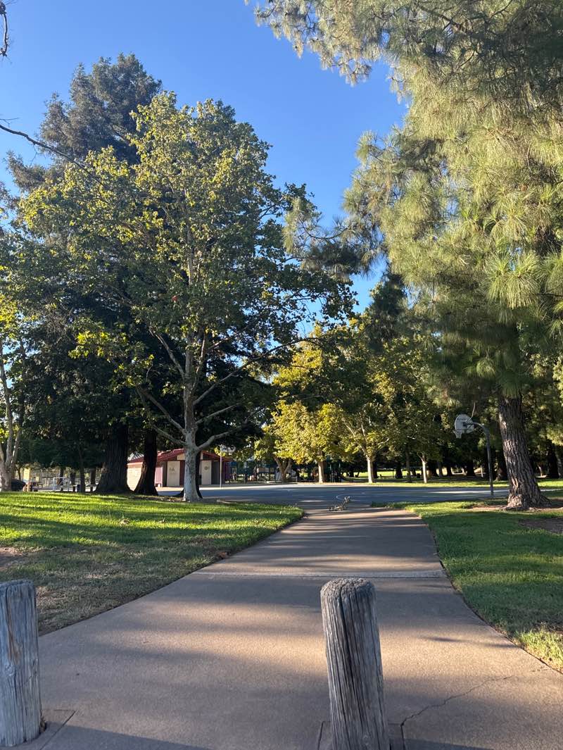 walking near me in Gibbons Park in summer