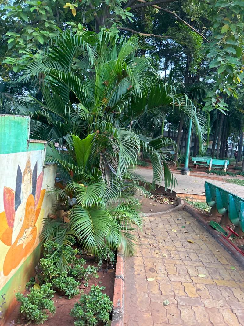 walking near me in Koritepadu Park in winter