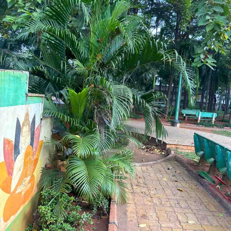 Vamsi Krishna Reddy post 1