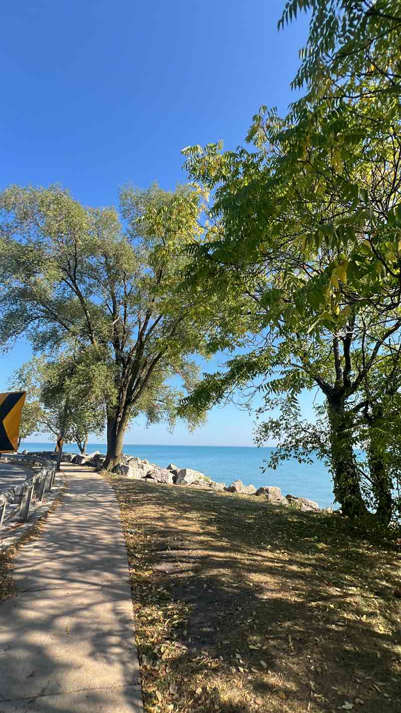 walking near me in Clark Square Park in autumn
